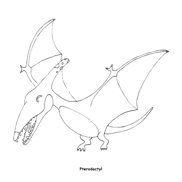 Ausmalbild Dinosaurier Pteradactyl